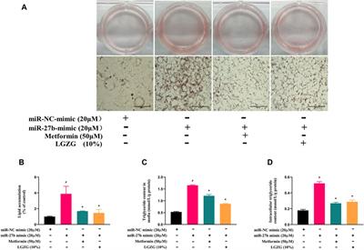 Ling-gui-zhu-gan promotes adipocytes browning via targeting the miR-27b/PRDM16 pathway in 3T3-L1 cells